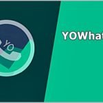 yowhatsapp