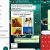 Cómo se desinstala WhatsApp Plus