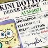 Cuántos años tiene Bob Esponja en la serie