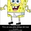 Quién es el mejor amigo de Bob Esponja